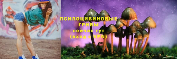 COCAINE Богданович