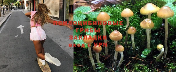 Альфа ПВП Богородск