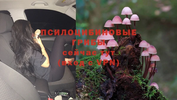 Альфа ПВП Богородск