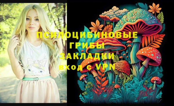 COCAINE Богданович