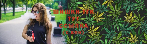 Альфа ПВП Богородск