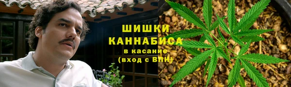 Альфа ПВП Богородск